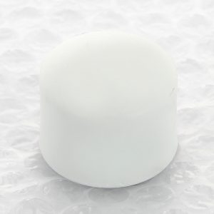 Заглушка полипропиленовая 25 PPR Pro Aqua | PA15010P белая