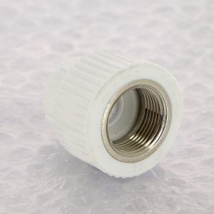 Муфта с внутренней резьбой комбинированная PPR 20-3/4″ ВР Pro Aqua PA220 | PA22010P полипропилен белый