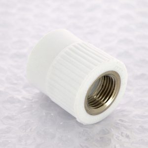 Муфта комбинированная с внутренней резьбой PPR 25-1/2″ В Pro Aqua PA220 | PA22012P полипропилен белый